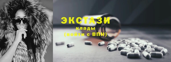 гашик Алексин