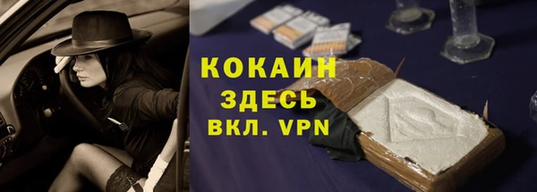 твердый Аркадак