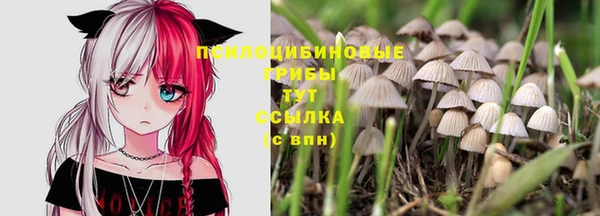 твердый Аркадак