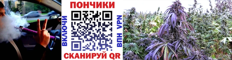 где можно купить   Бирюсинск  МАРИХУАНА план 
